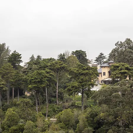 Marmoris Camelia 4*
